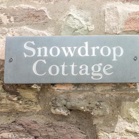 Snowdrop Cottage Laugharne Exterior photo